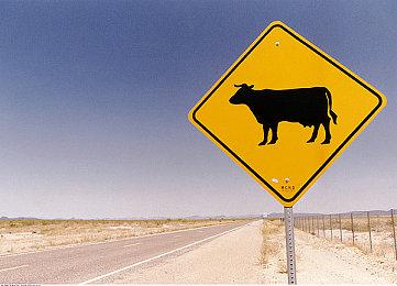 Gamescom科隆游戏展开幕夜直播新预告片分享